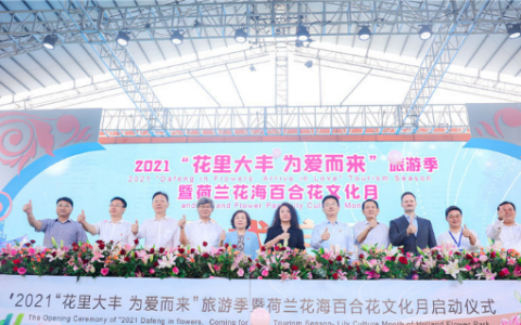 2021長(zhǎng)三角國(guó)慶去哪玩？（荷蘭花海百合花文化月萬(wàn)畝花海等你來(lái)賞）