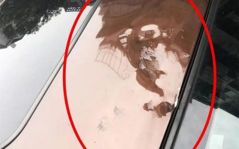 重慶無人機(jī)砸路邊轎車（后悔未購買無人機(jī)保險(xiǎn)）