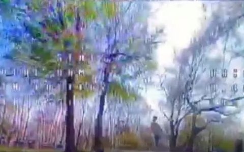 一穿越機(jī)低空飛行撞到孩子，當(dāng)事人卻這樣說